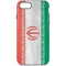 Iran Flag Distressed iPhone 8 Pro Case